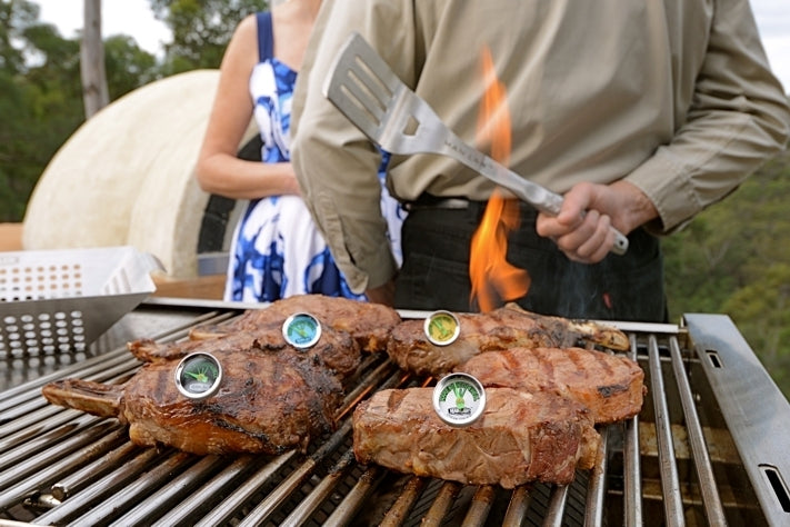 Man Law Glow-in-the-dark Steak Thermometers - 4 Pack