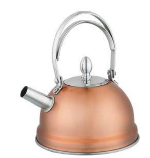 Mini Stainless Steel Kettle - 800ML