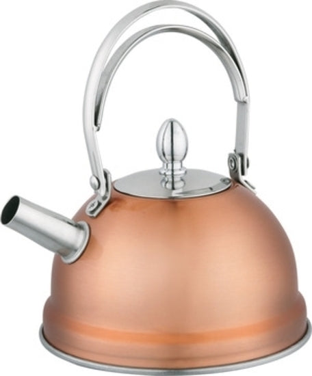 Mini Stainless Steel Kettle - 800ML