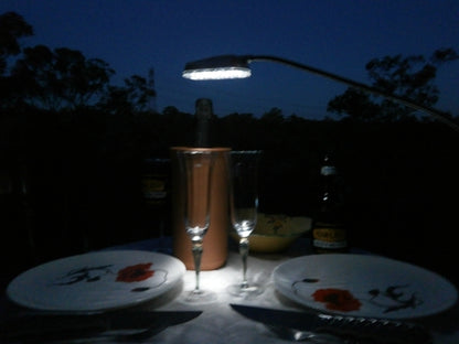 Man Law BBQ LED Light